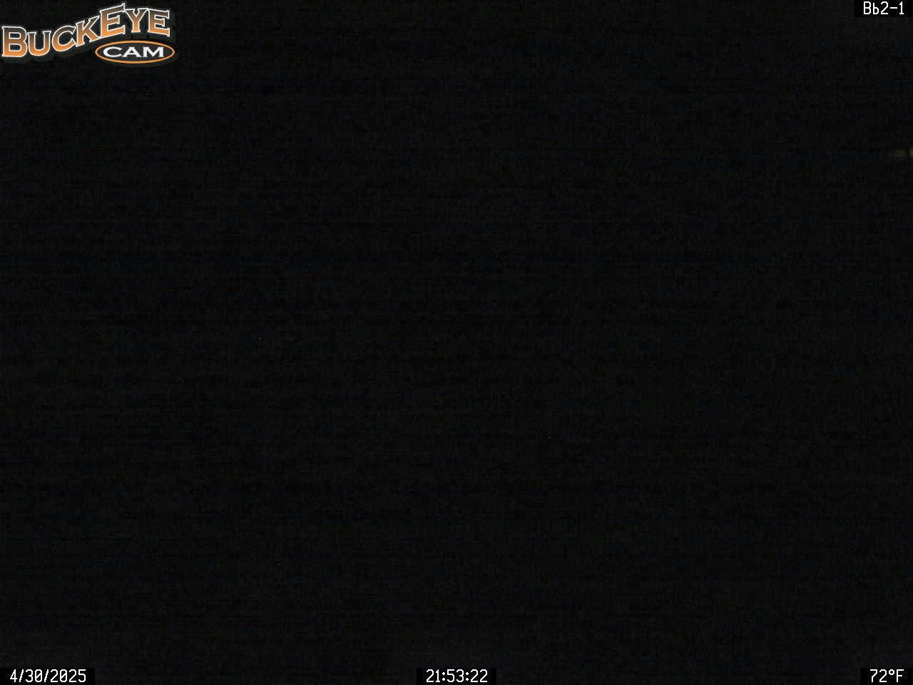 p_125259