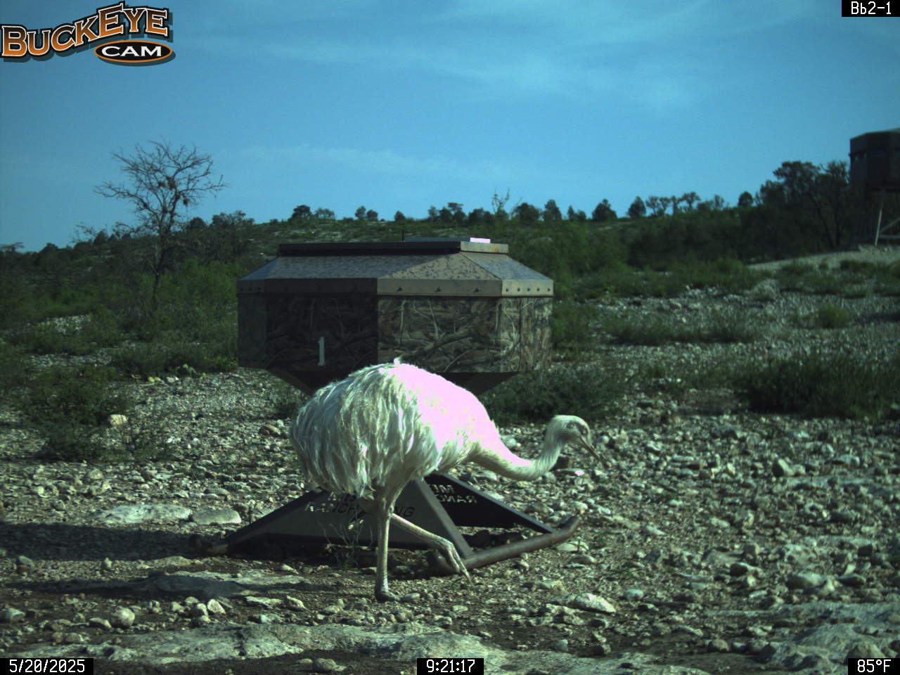p_125305