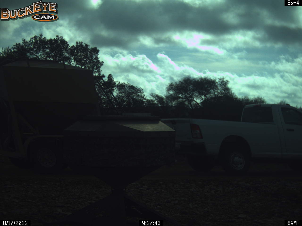 p_115124