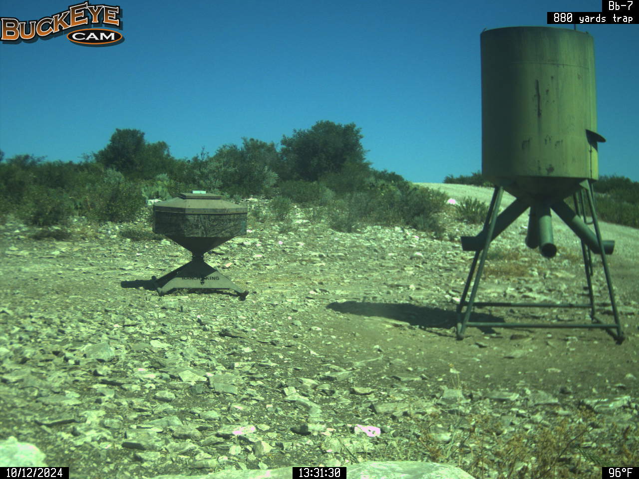 p_273834