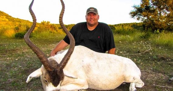 addax hunting ox ranch