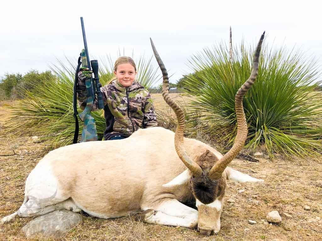Addax Hunting | 60+ Species Available for Hunt | OX Ranch Addax Hunting | 60+ Species Available for Hunt | OX Ranch
