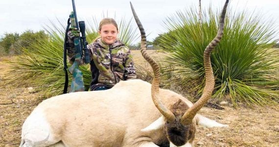 addax hunts