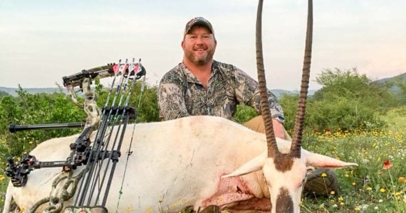 arabian oryx hunting