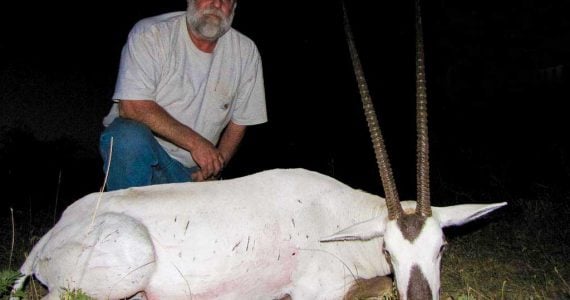 arabian oryx hunts