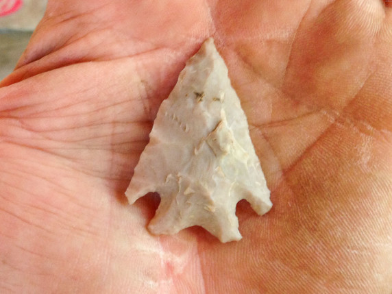 texas arrowhead hunting