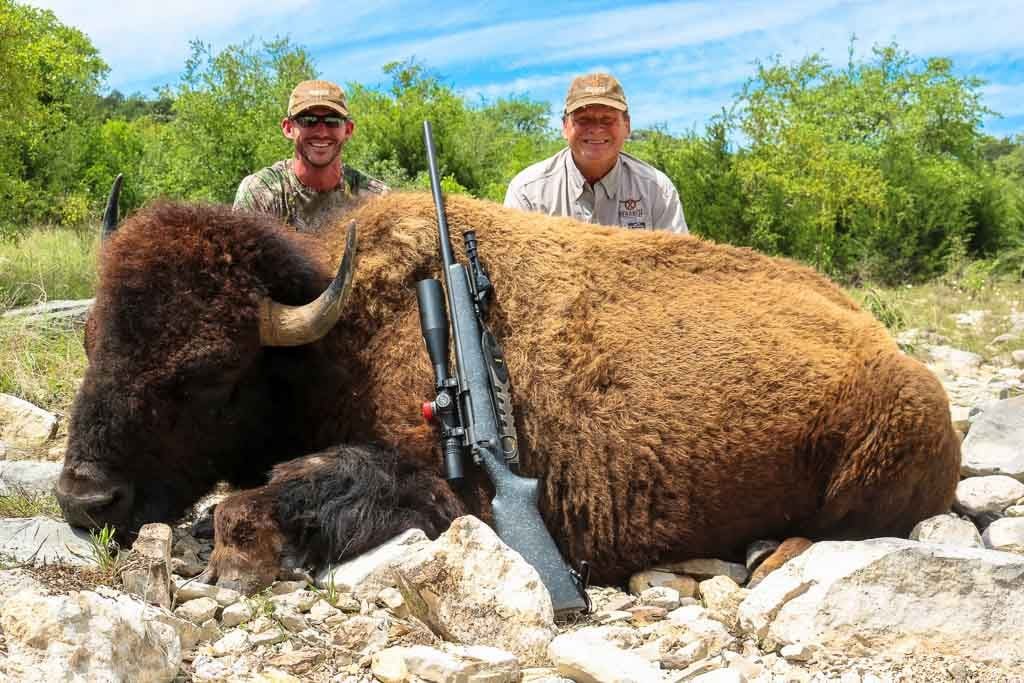 Buffalo Hunting | 60+ Available Hunt | OX Ranch -