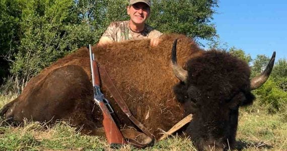 buffalo hunting