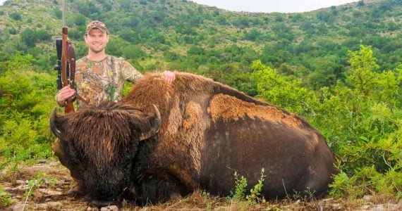 buffalo hunting texas