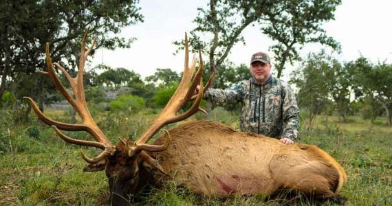 elk huntings