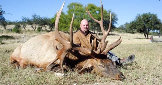 elk hunting Texas