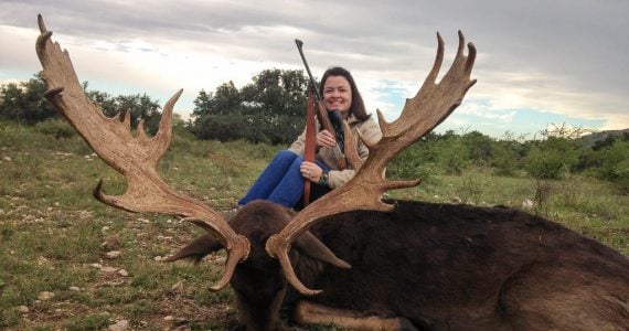 fallow deer hunting