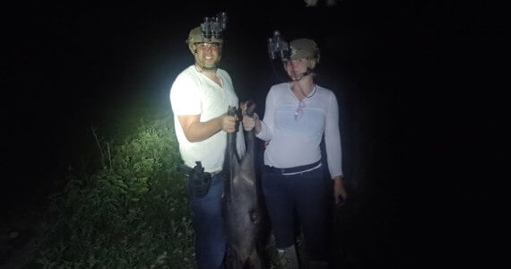 hog hunting with night vision goggles