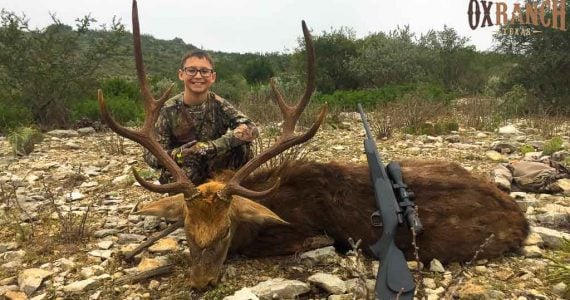 sika deer hunting