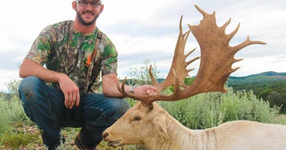 texas fallow hunting