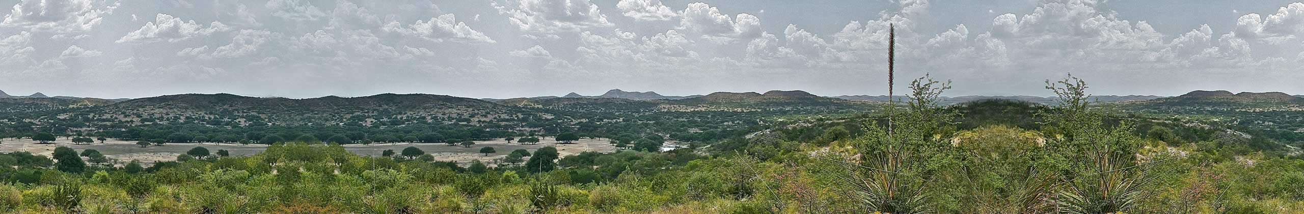 OX Ranch — photo 2