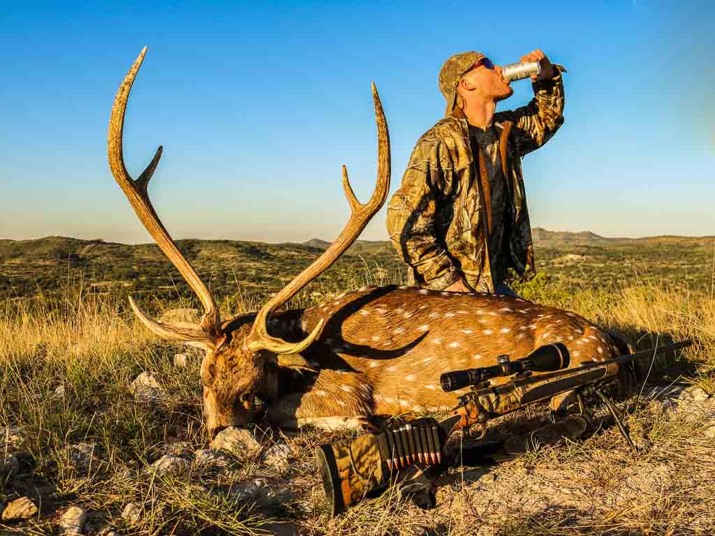 axisdeerhuntinguvalde OX Ranch