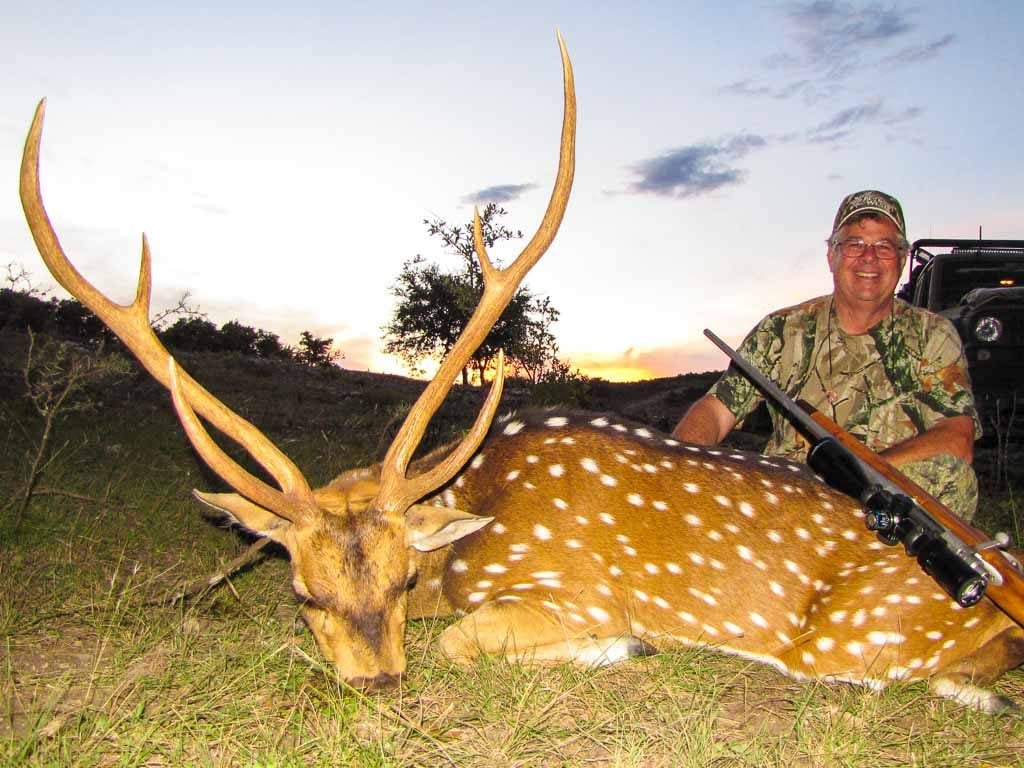 axis deer diamond weight
