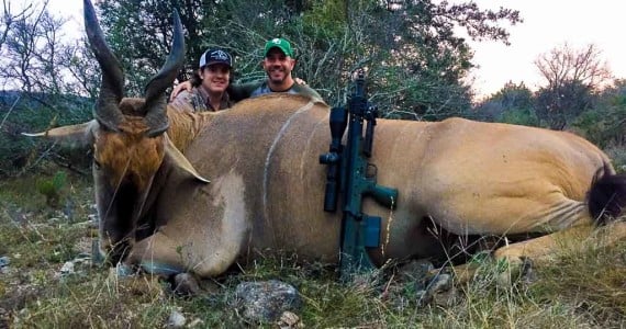 eland hunting Texas