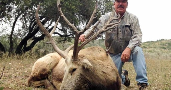 pere david's deer hunting