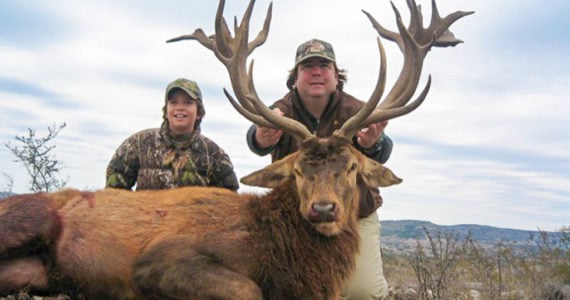 red stag trophy hunt