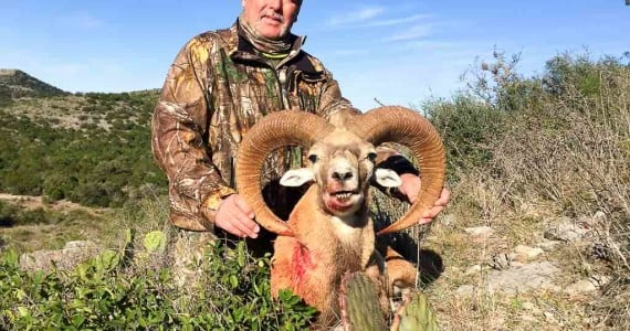 redsheep Texas Hunting