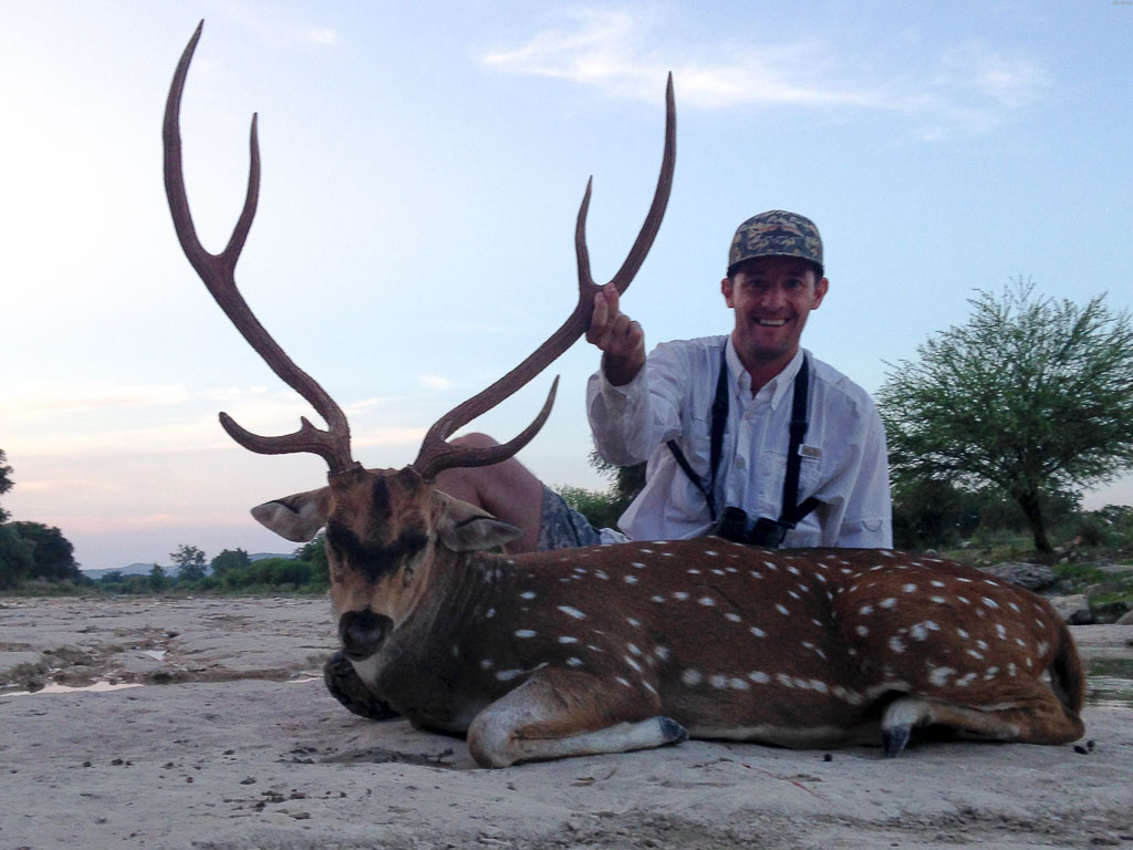texasaxisdeerhunting OX Ranch