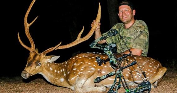 Texas axis deer hunts