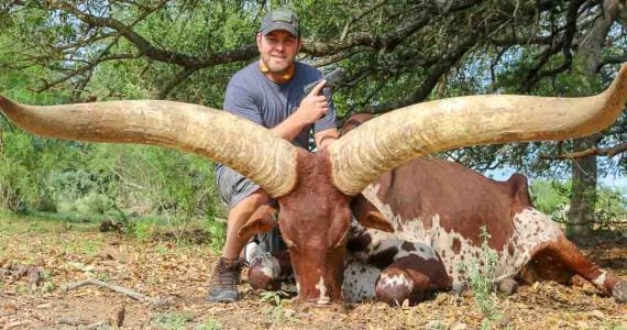 texas Watusi hunt