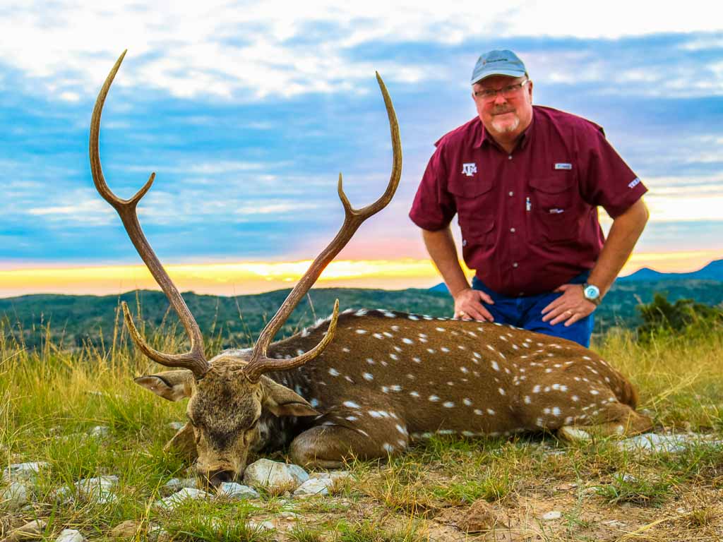 uvaldeaxisbucks OX Ranch