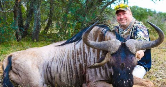 wildebeest hunts