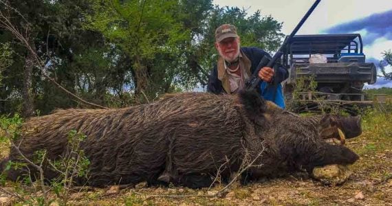 hog hunting texas