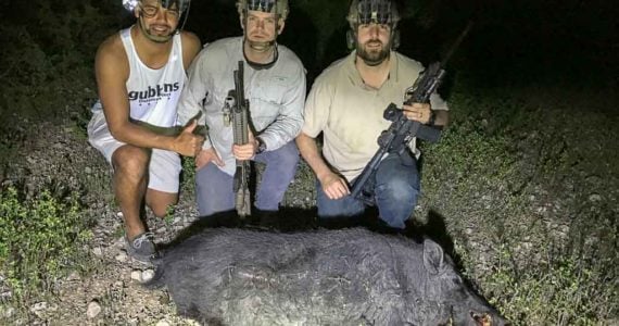 night vision hog hunts