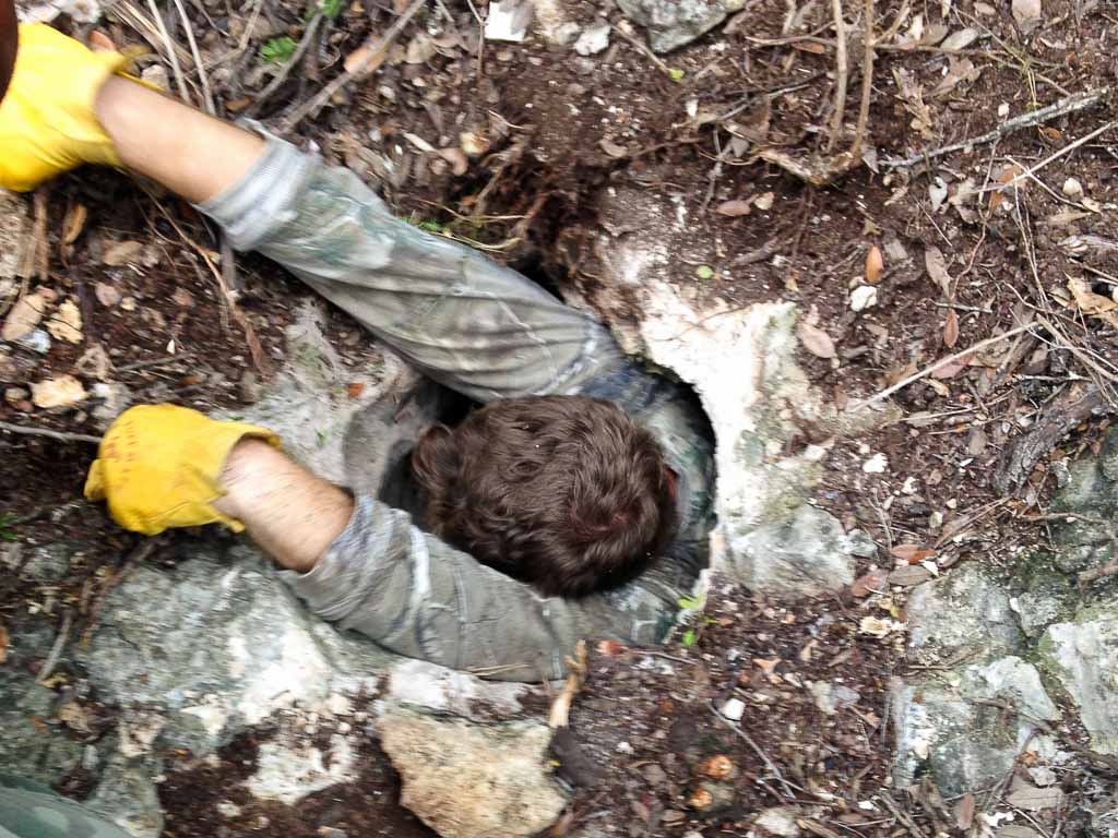 Caver's Disease and Exploring - OX Ranch