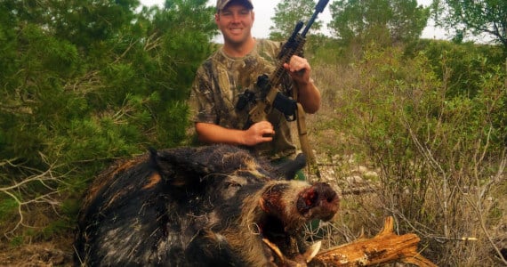 texas hog hunting