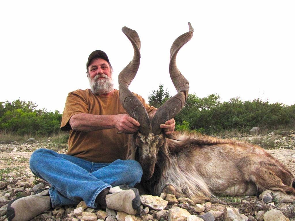 Appeau chevreuil ROTTUMTALER Rose - Markhor Hunting