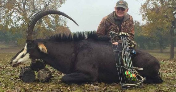 sable antelope hunting