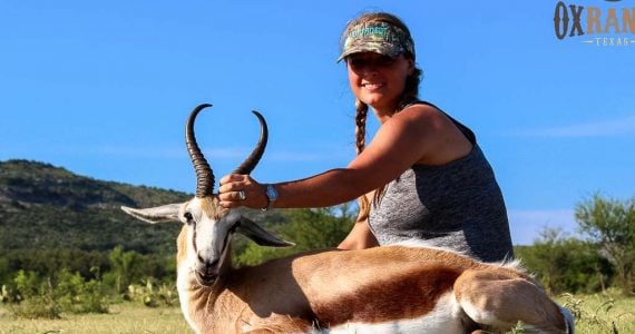 springbok hunting