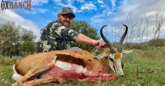 springbok hunts