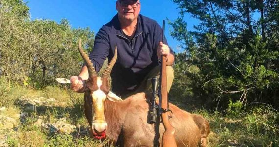 blesbok hunting