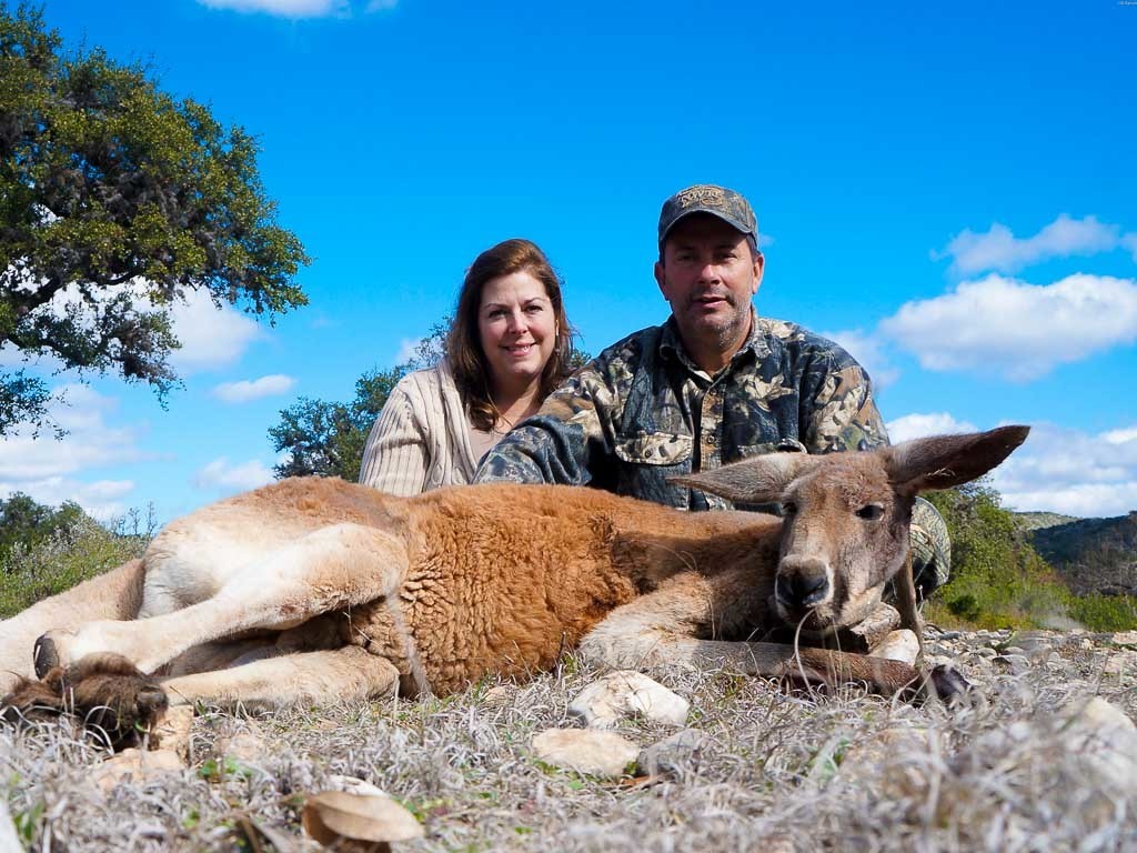 kangaroo hunting trip