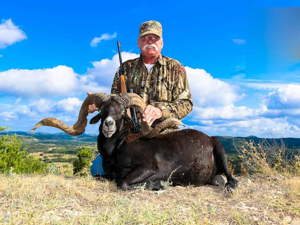 https://www.oxhuntingranch.com/wp-content/uploads/2015/01/mountain-black-sheep-hunting-1024x768.jpg