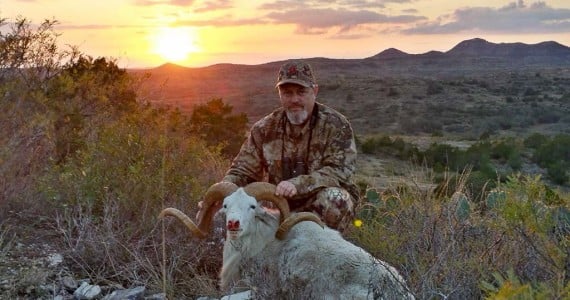 Texas Dall hunts