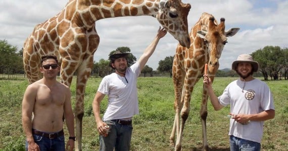 giraffe bachelor party