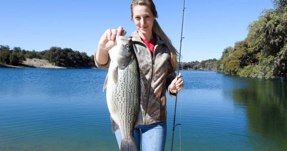 large mouth bass fishing