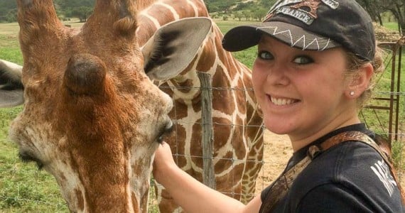 petting a giraffe