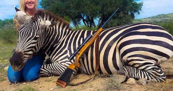 texas zebra hunts