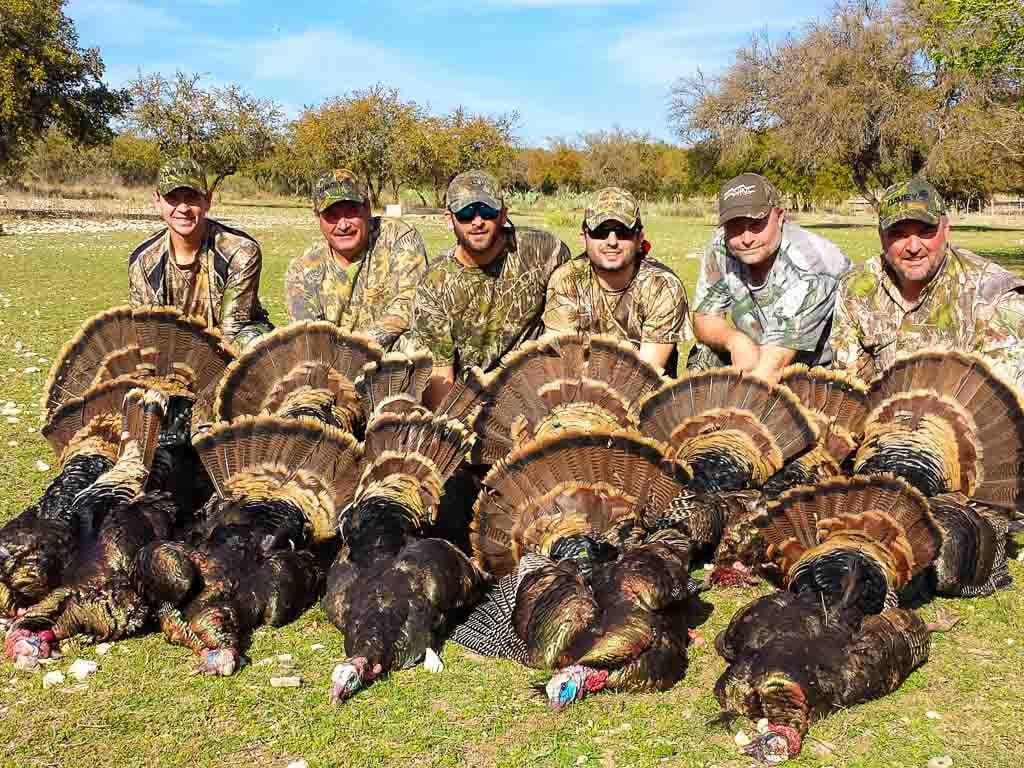 Turkey Hunting 60+ Species Available for Hunt Ox Ranch Texas