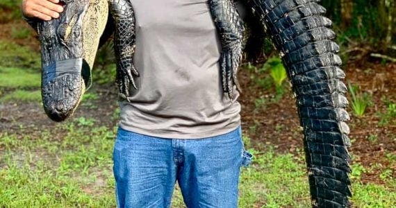 florida alligator hunting packages