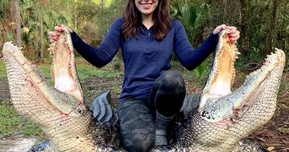 gator hunts